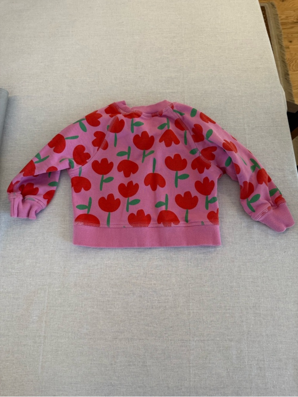 Hanna Andersson French Terry Sweatshirt - Picture 2 of 3
